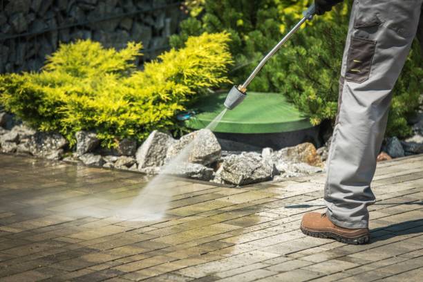 Best Soft Washing  in Arvin, CA