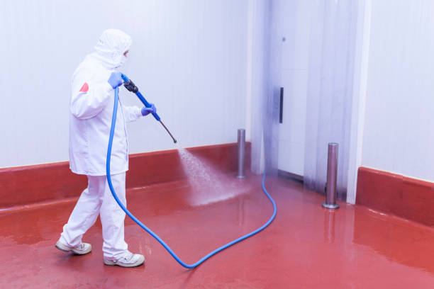 Pre-Holiday Cleaning in Arvin, CA