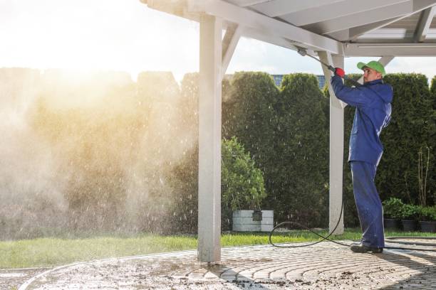 Best Graffiti Removal  in Arvin, CA