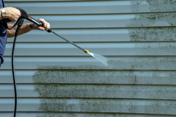 Best Dumpster Area Cleaning  in Arvin, CA